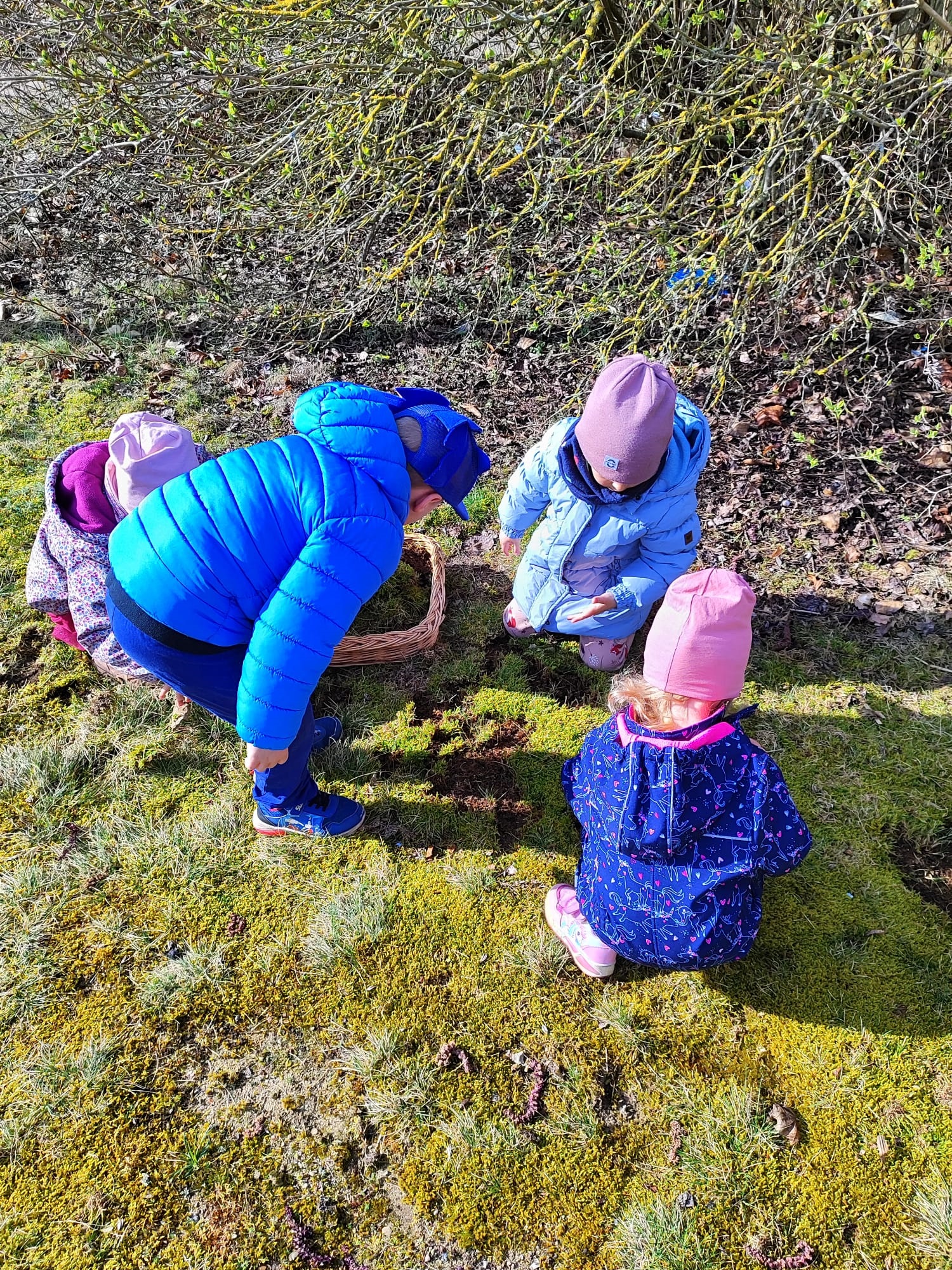 Das Foto zeigt vier Kinder, die im Außenbereich des Rosenhofs Moss, Sträucher und ähnliche Dinge zur Ausgestaltung des Ostergestecks sammeln.