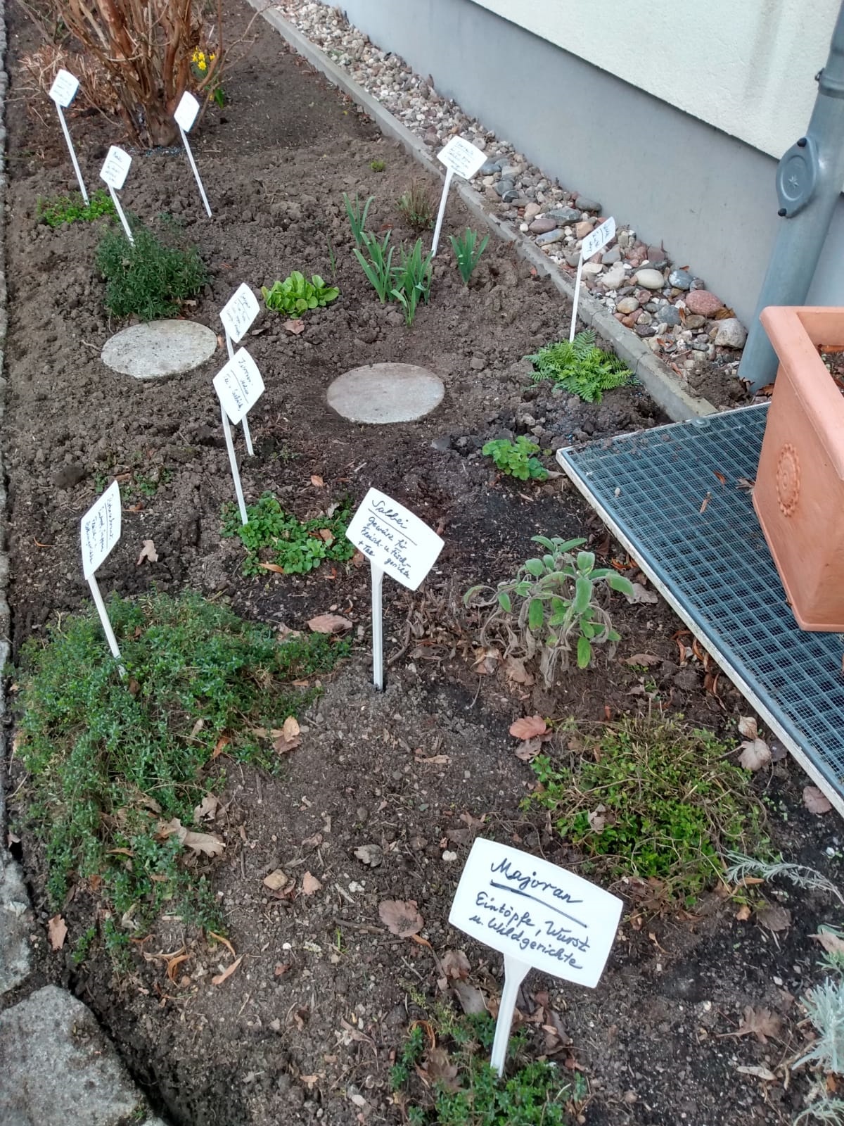 Das Bild zeigt Pflanzen aus dem Kräutergarten. Alle sind mit Schildern beschriftet.