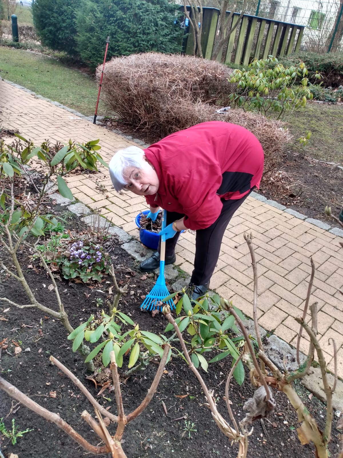 Lisbeth Finke befreit das Beet von altem Laub.