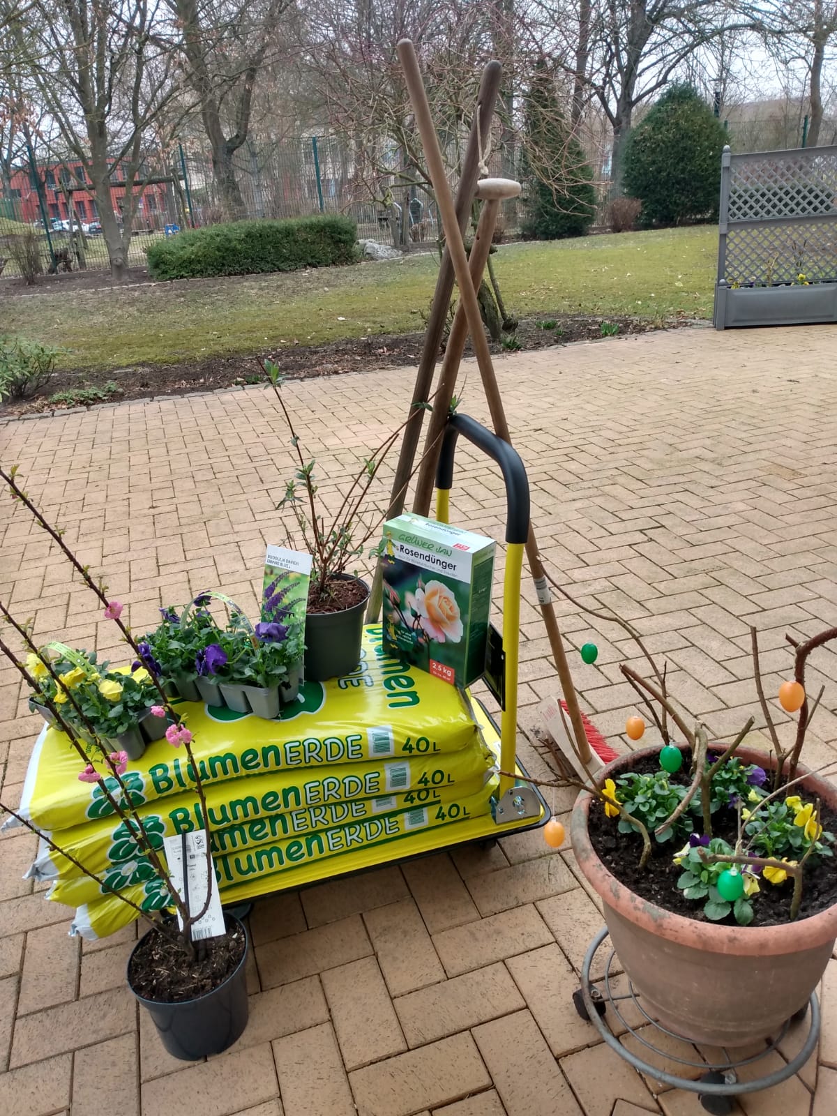 Das Foto zeigt auf einem Wagen gepacktes Pflanzmaterial: Säcke mit Blumenerde, Topfpflanzen