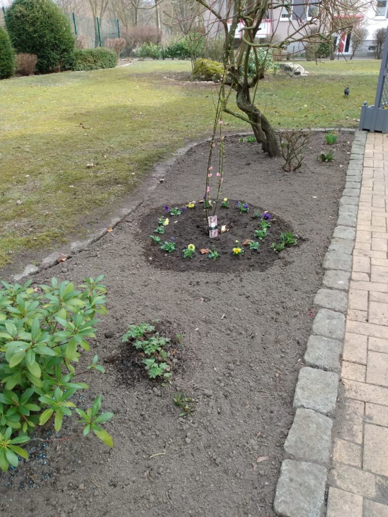 Das Foto zeigt die neu gestaltete Rabatte .