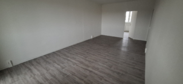 Familienfreundliche 4-Raum-Wohnung in der Parchimer Weststadt - Wohnzimmer (12808)