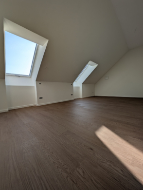Neubau in traumhafter Lage in Mühl Rosin - Detailansicht (12717)